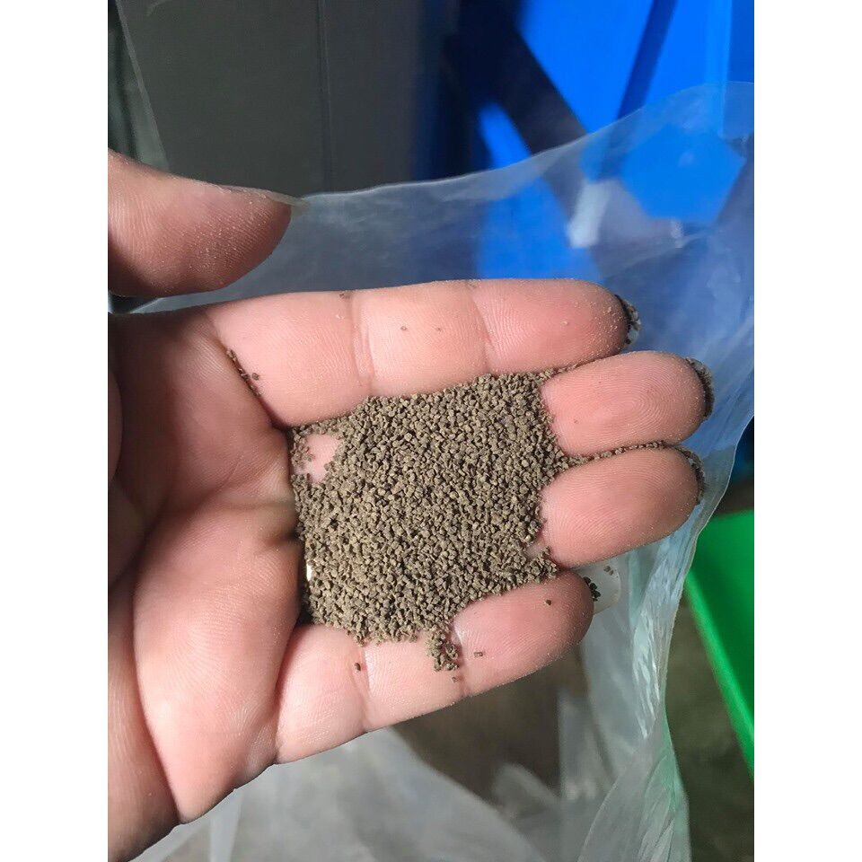[THỨC ĂN CÁ CẢNH] 1kg Tomboy Tb1, thức ăn cho cá size trung đến size trưởng thành