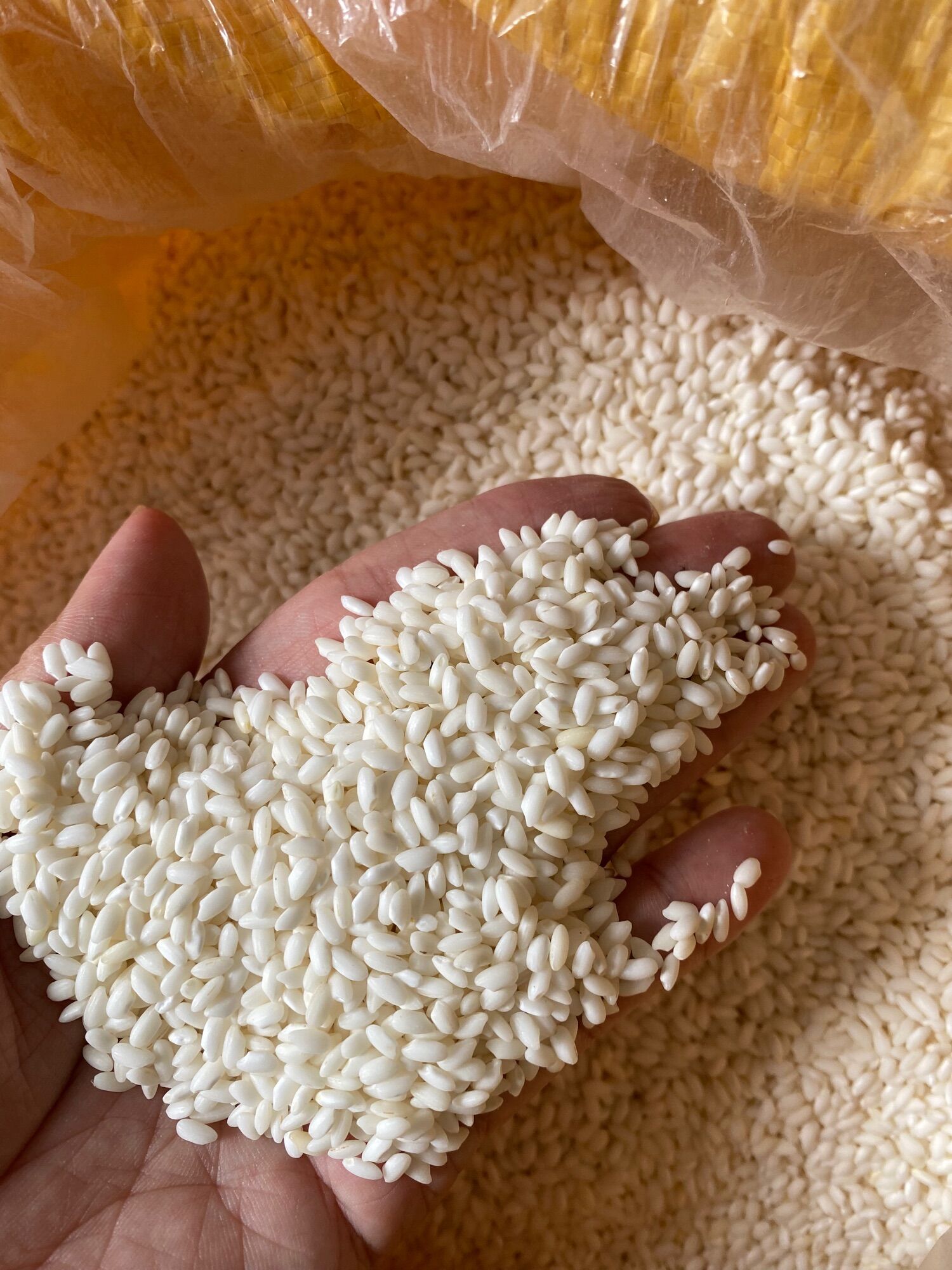 Gạo nếp Bắc , dẻo thơm - 1kg