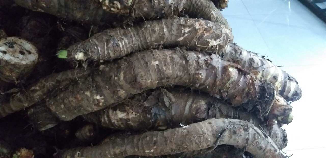 3kg bac hà núi -An giang