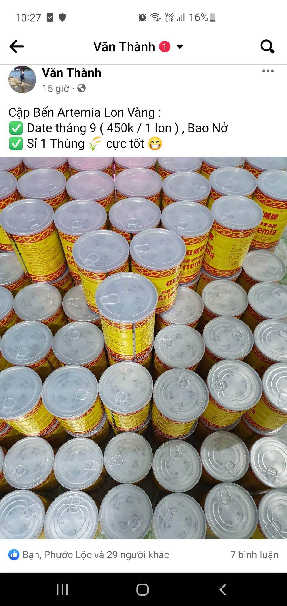 Artemia Ấp Nở Lon Vàng : Tỉ Lệ Nở Tốt