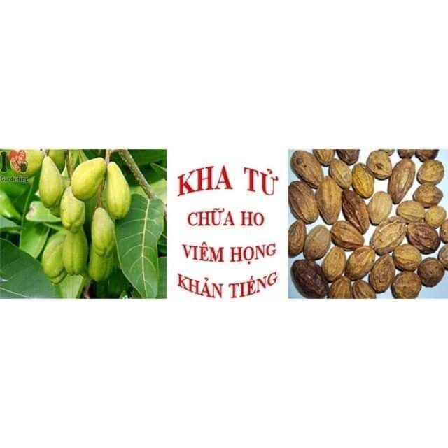 500g quả kha tử khô