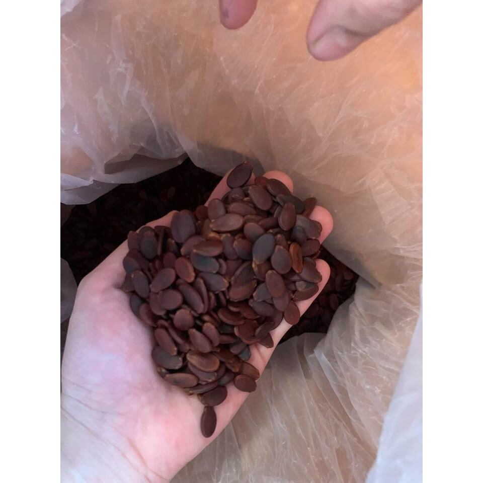 Hạt Dưa Đăk Lăk. hạt dưa loại đặc biệt 500g