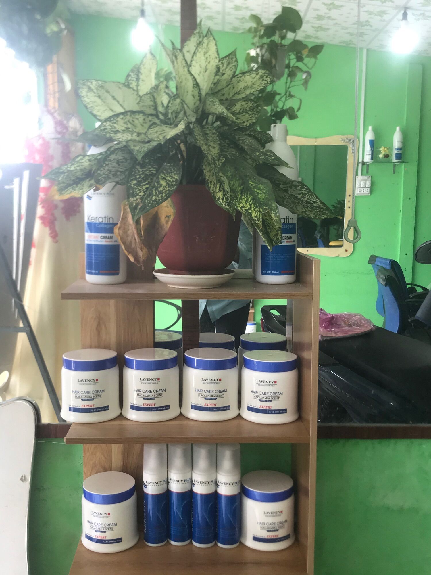 Hấp dầu lavency