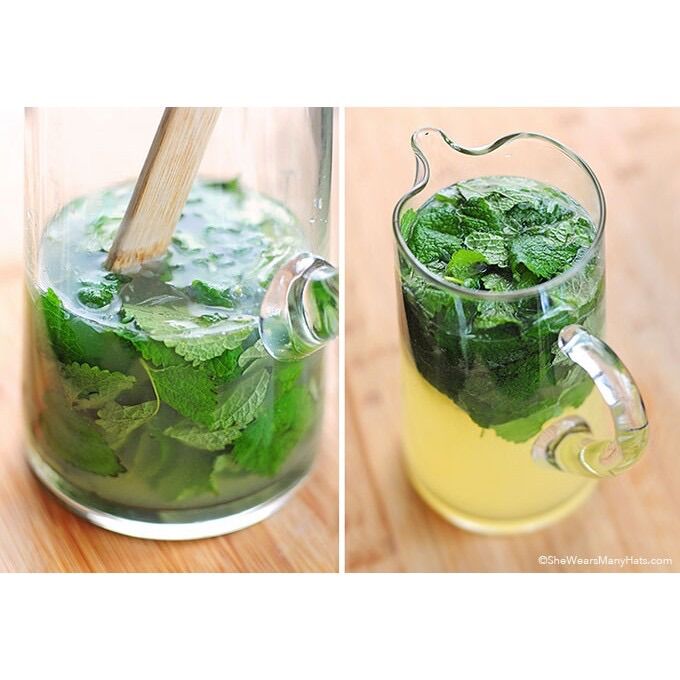 Hạt Giống Bạc Hà Chanh Sả Lemon Balm