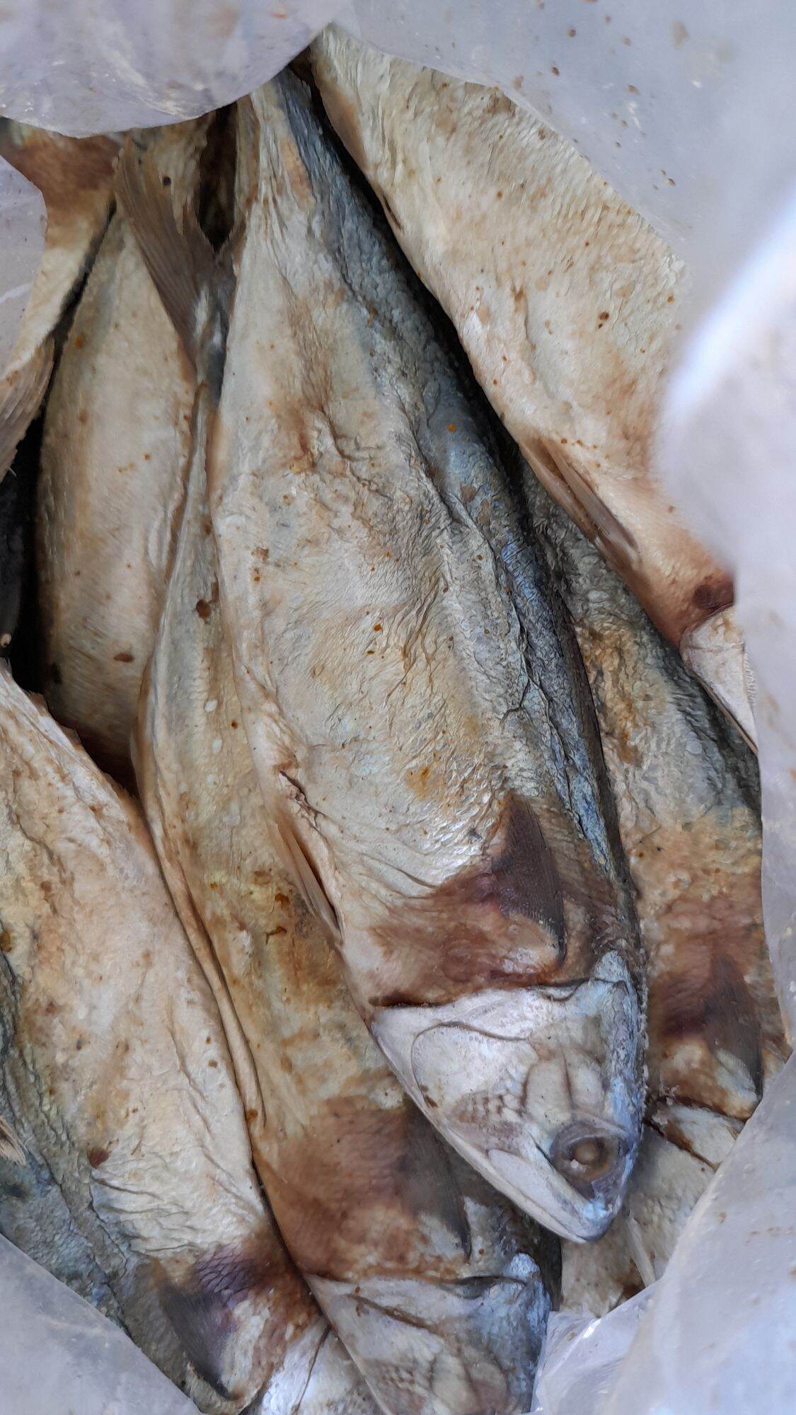 Mắm cá mạc má size lớn 1kg