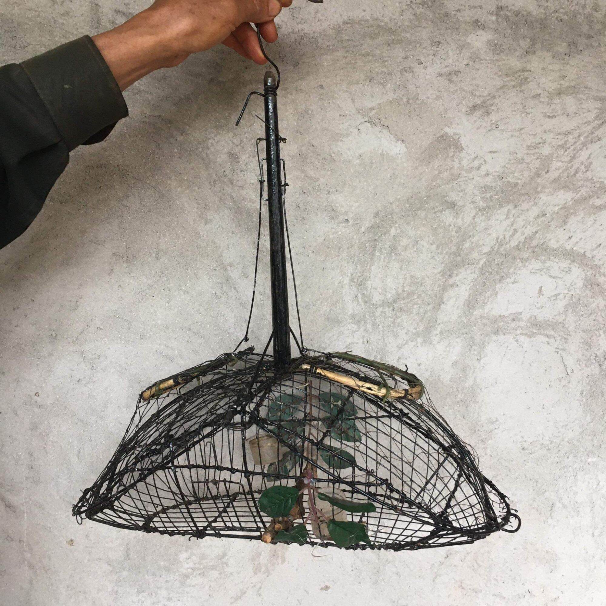 Lồng bẫy chim chào mào