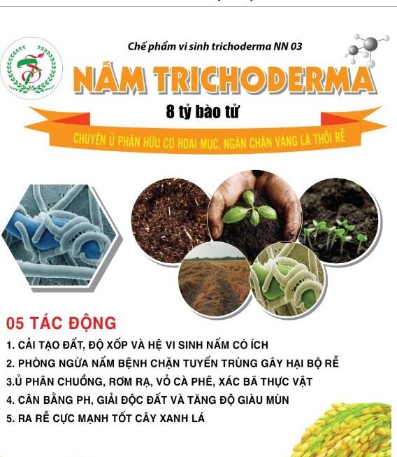Nấm Trichoderma chuyên ủ phân hữu cơ ngăn chặn vàng lá thối rễ. GÓI 1KG