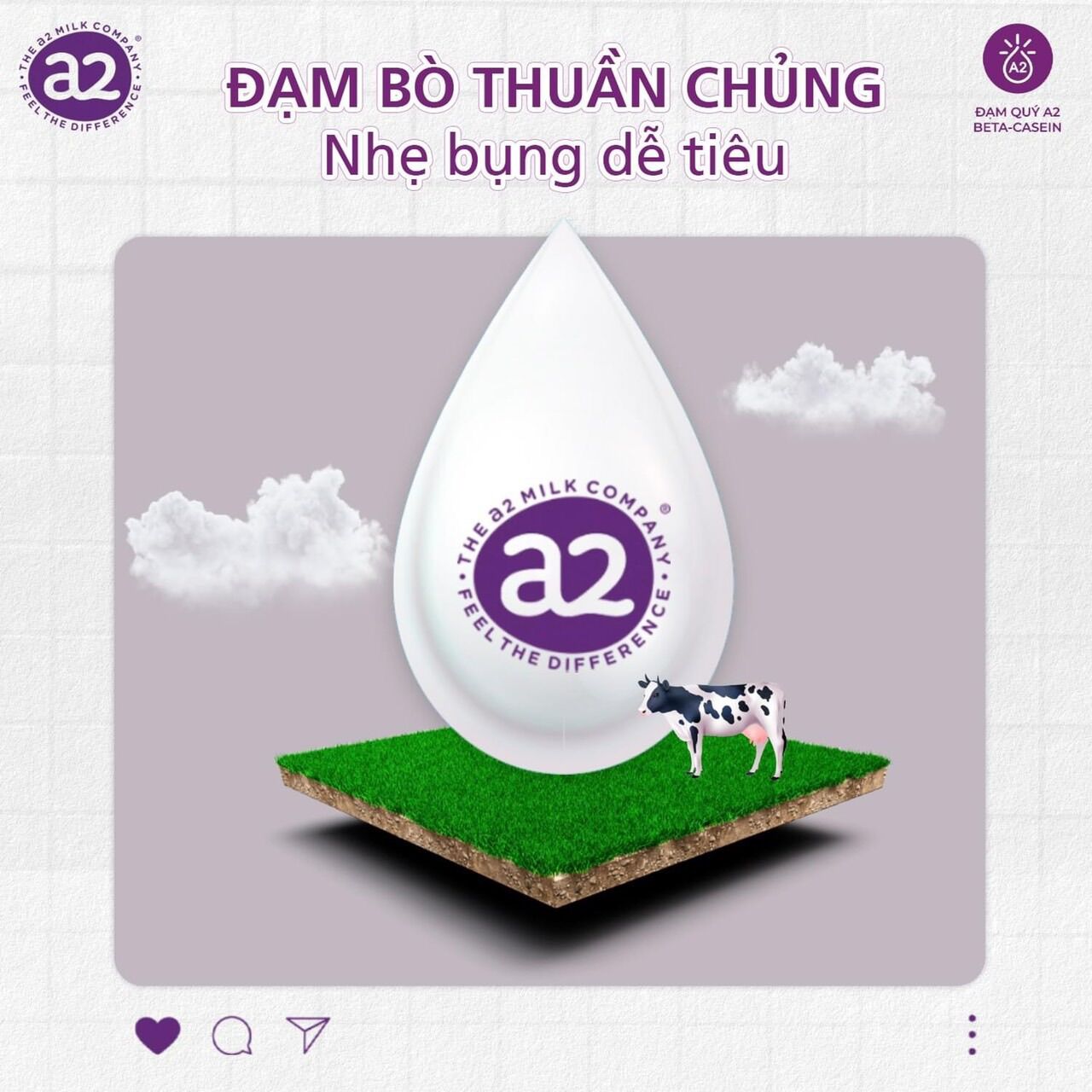 Sữa Bột A2 Túi - Bay Air
