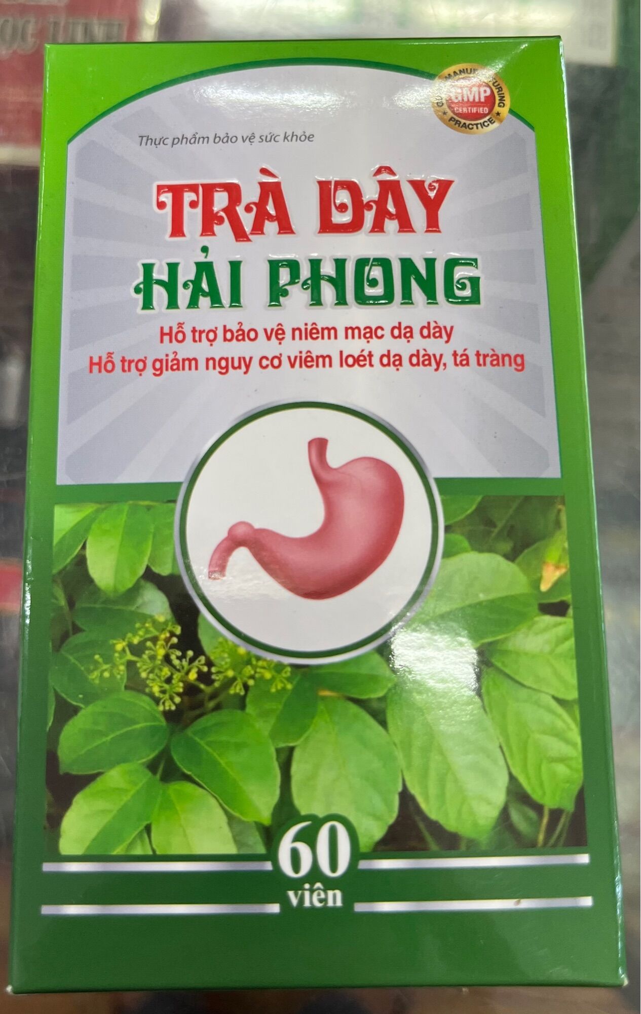 TRÀ DÂY HẢI PHONG - DÙNG CHO NGƯỜI BỊ DẠ DÀY HP