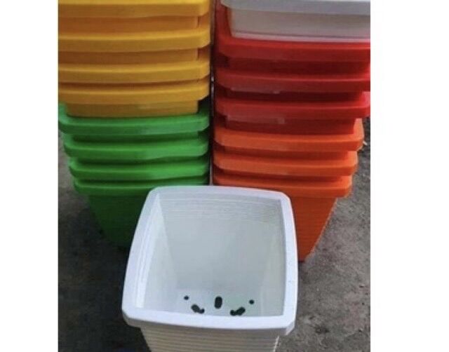 Chậu Nhựa Vuông 9x9cm (Màu Ngẫu Nhiên)