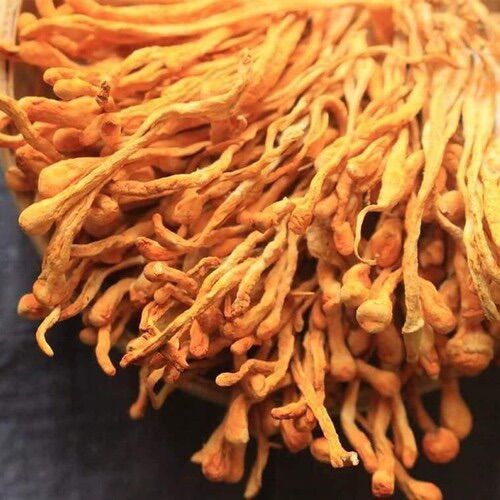 [HCM]Bông Đông Trùng Hạ Thảo khô - Gói 100g