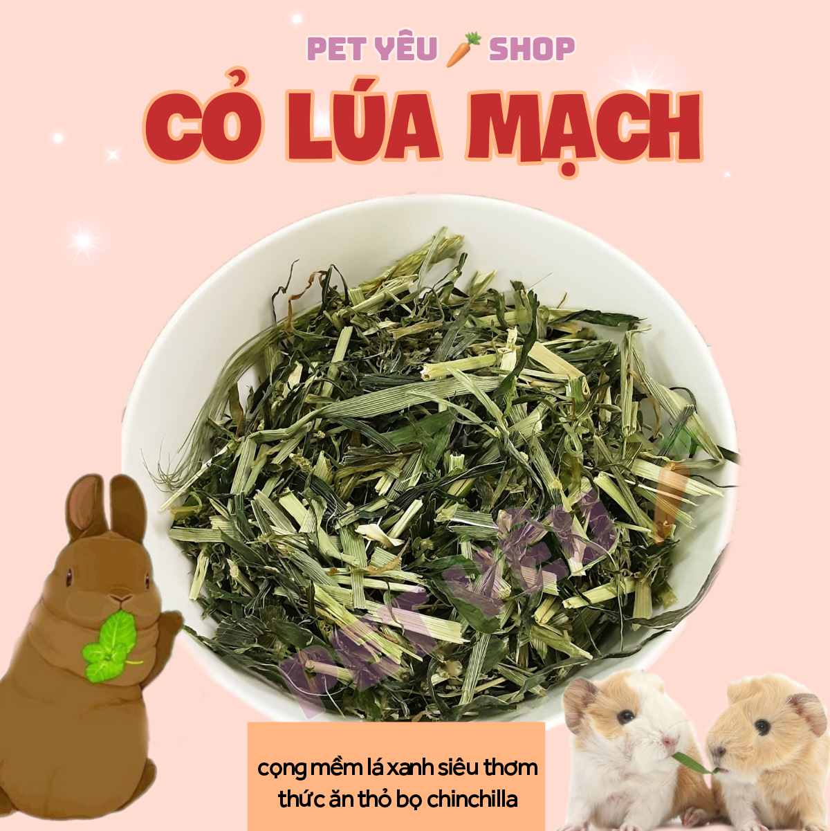 Cỏ lúa mạch ❤️FREESHIP❤️ thức ăn thỏ bọ chinchilla chuột lang