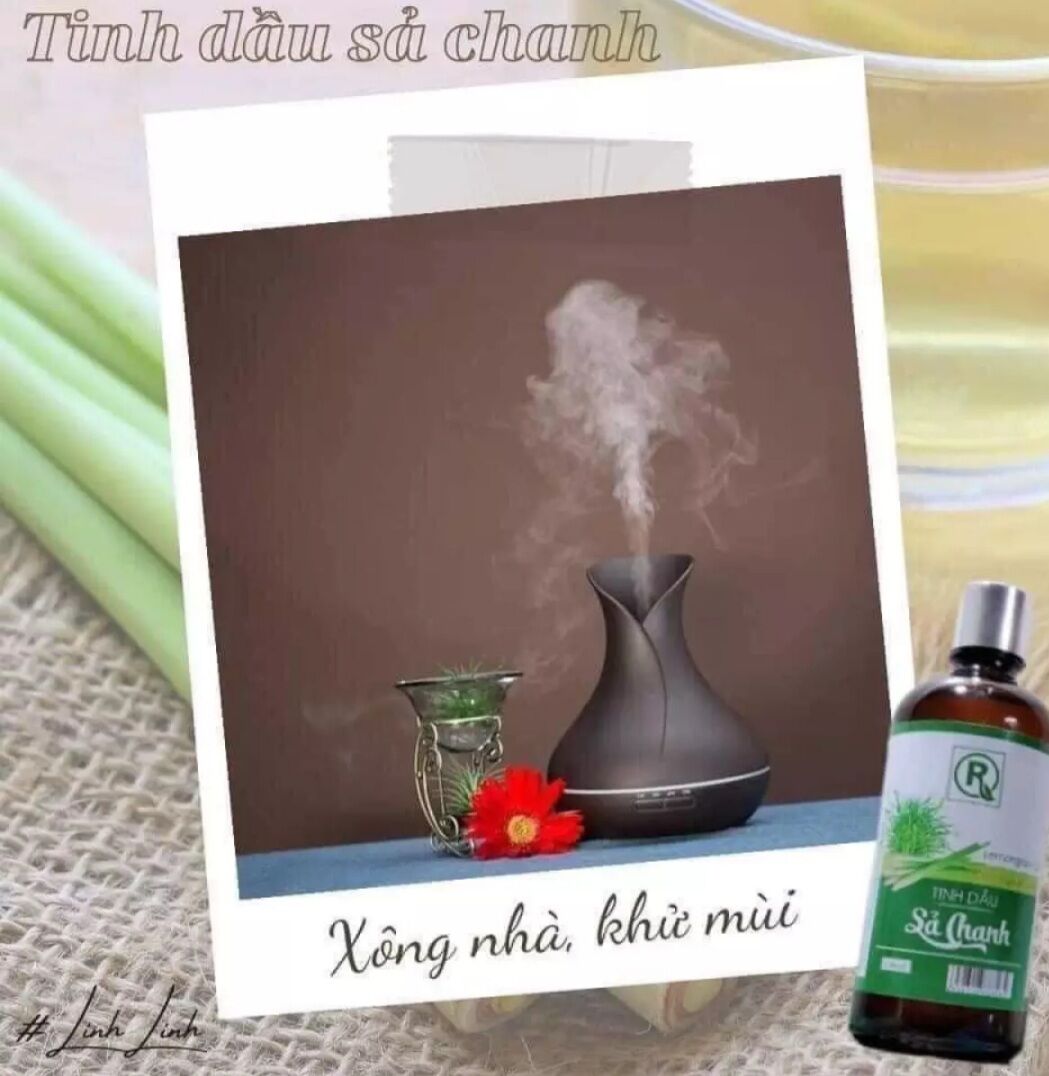 Tinh dầu Sả Chanh 100ml