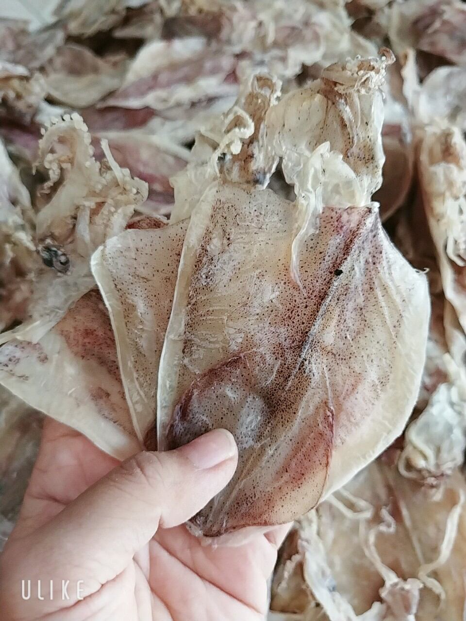 Khô mực đồng tiền 1kg 399k , khô mực mới, ngon, ngọt, ghe nhà, hàng mới liên tục