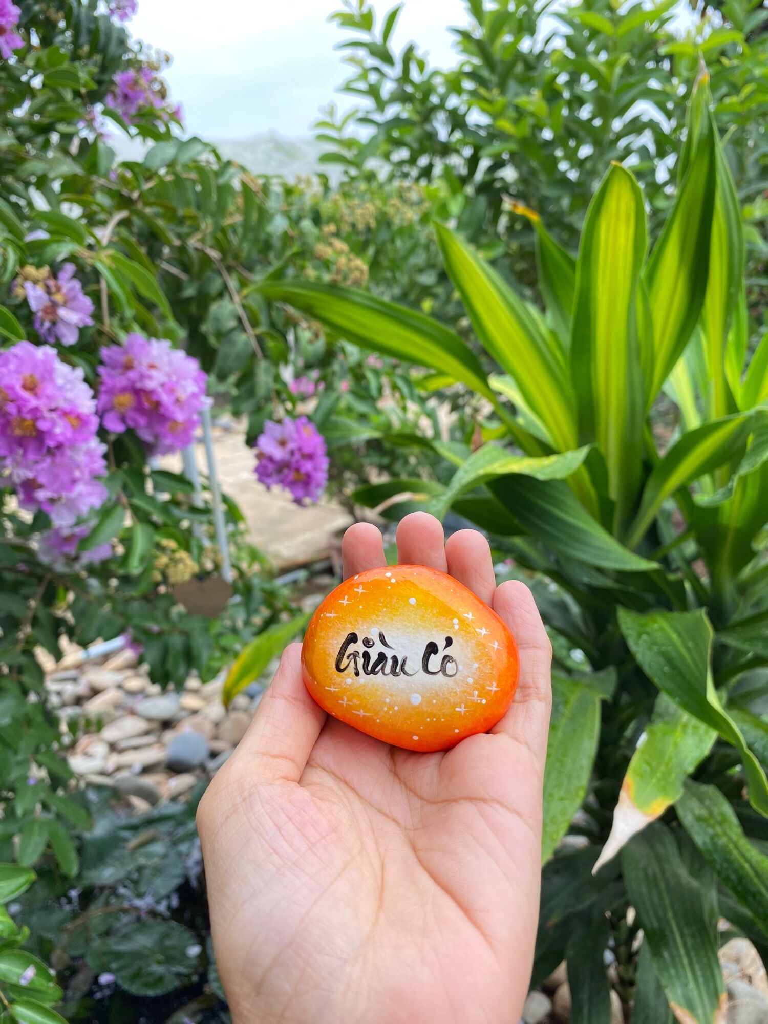 Hòn đá biết ơn 5 chữ khác nhau