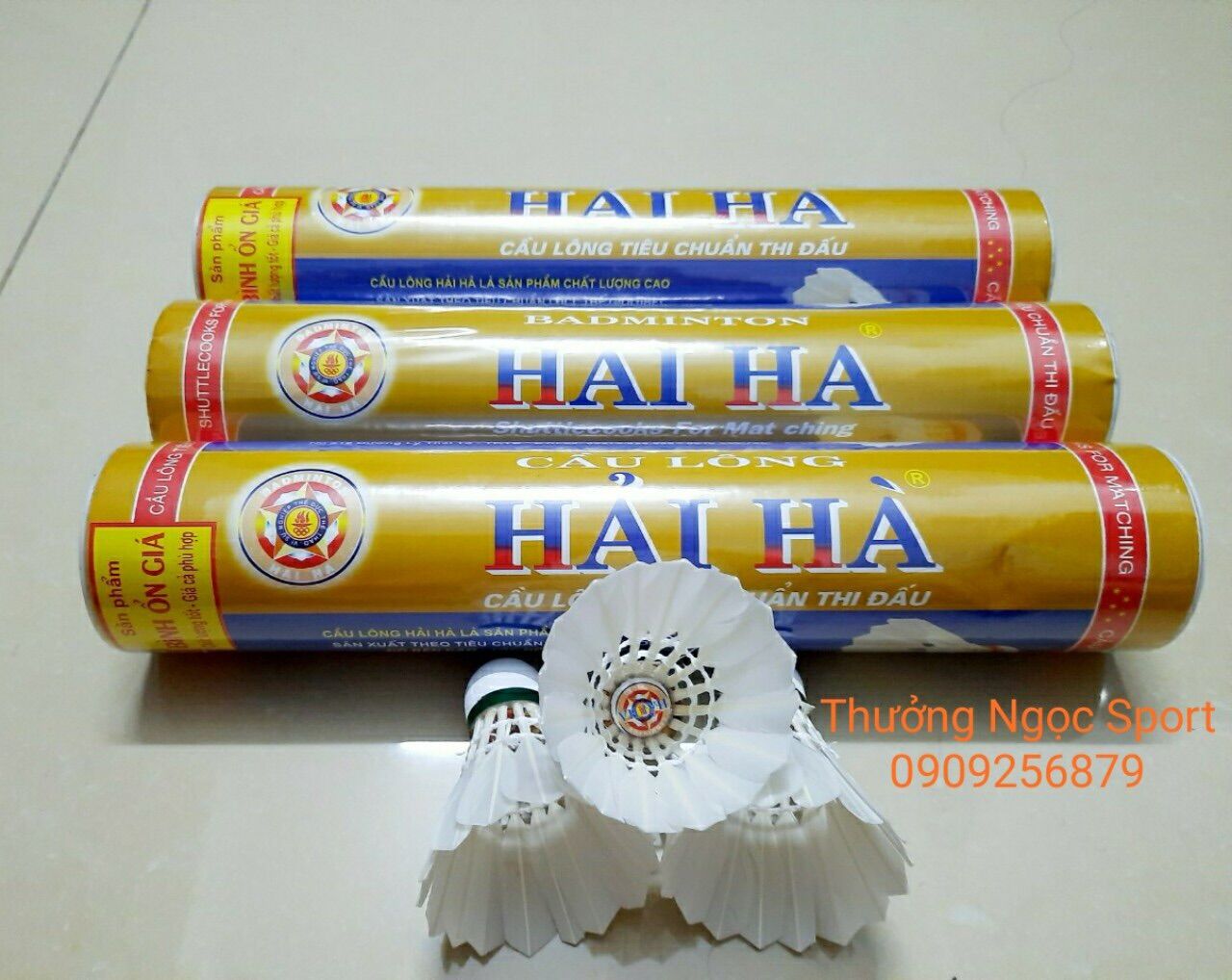 CẦU LÔNG HẢI HÀ ỐNG 10 TRÁI