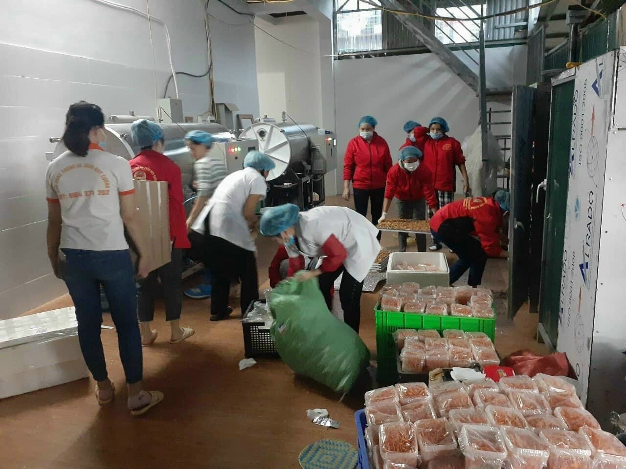 Đông trùng hạ thảo tươi