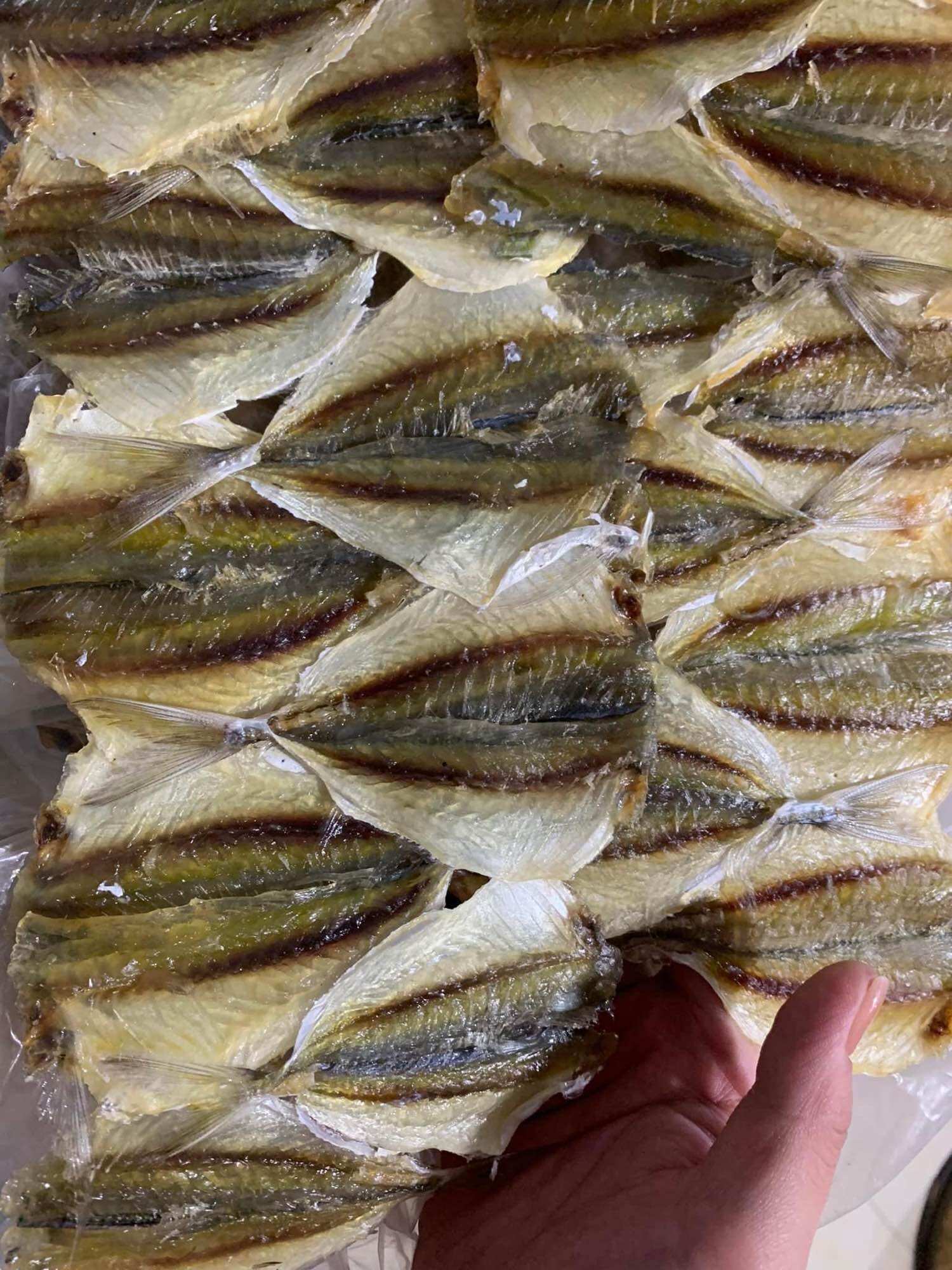 Cá chỉ vàng khô nhạt loại 1 không tẩm ướp ngon chuẩn Thanh Hoá 500gr