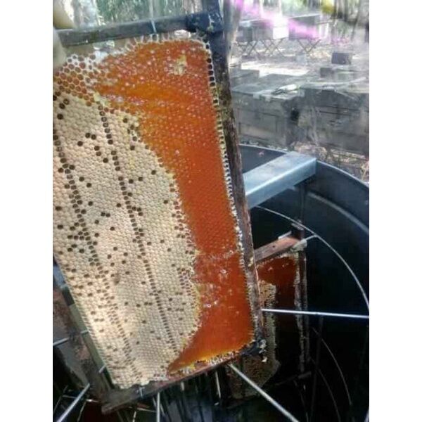 MẬT ONG HOA CAFE BẢO LỘC 🐝🐝