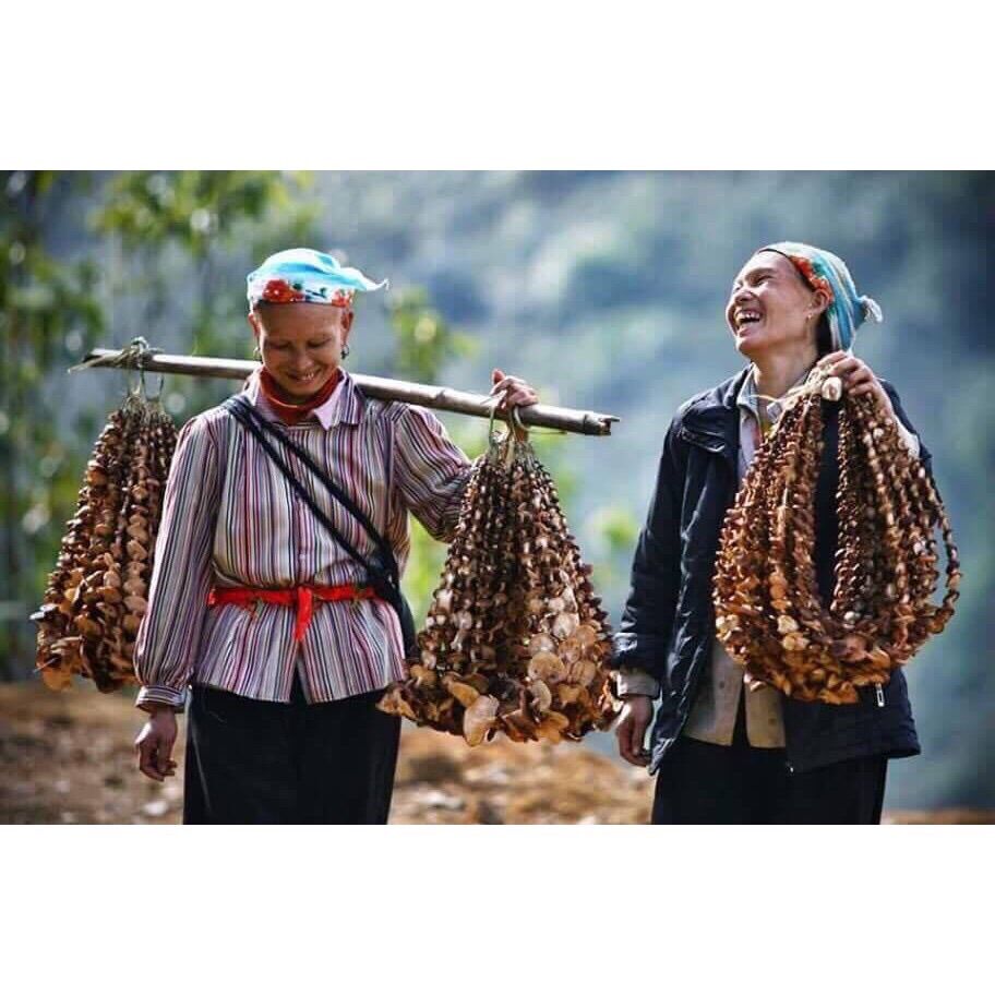 Nấm hương rừng khô Tây Bắc gói 500g hàng loại 1, nấm hương rừng Sapa xiên que phơi khô tự nhiên thơm ngon