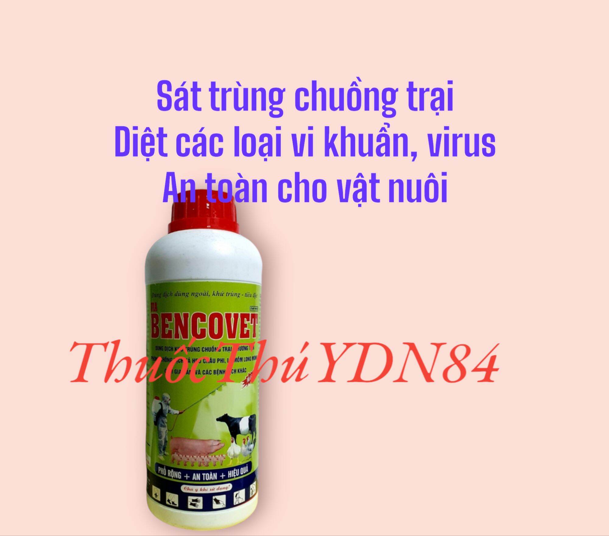 Via benkovet sát trùng chuồng trại, môi trường chăn nuôi, diệt tả châu phi, cúm gia cầm