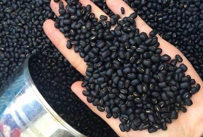 1 ký đậu đen xanh lòng hạt nhỏ organic