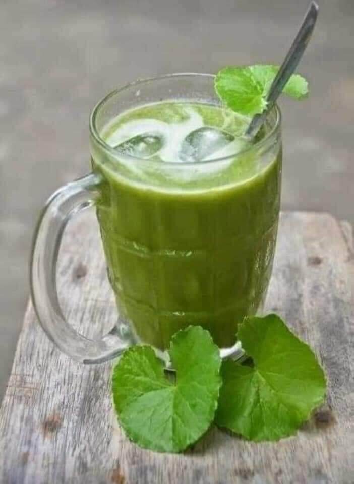Bột rau má sấy lạnh 500gr