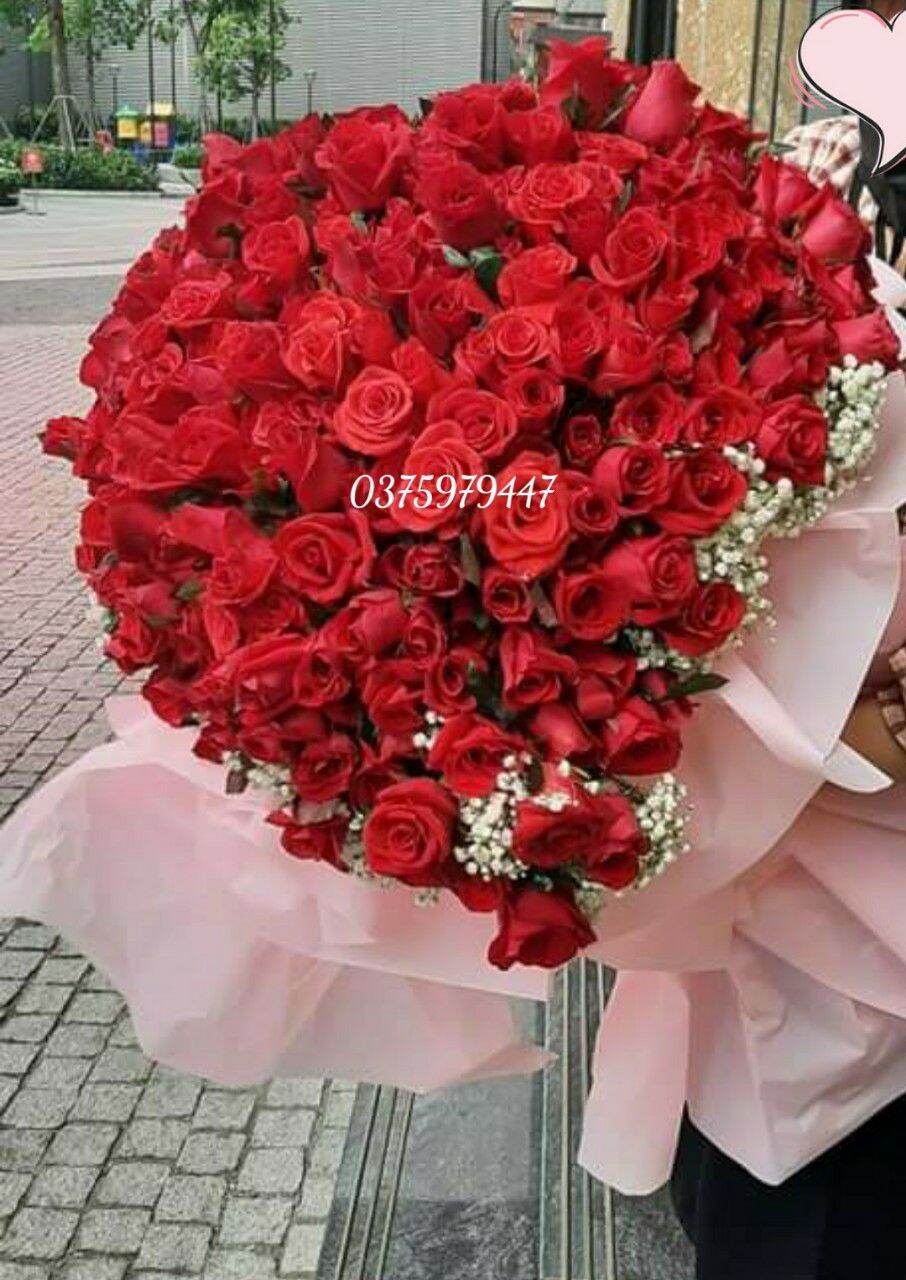 bó hồng red rose fresh flowers (hanoi)
