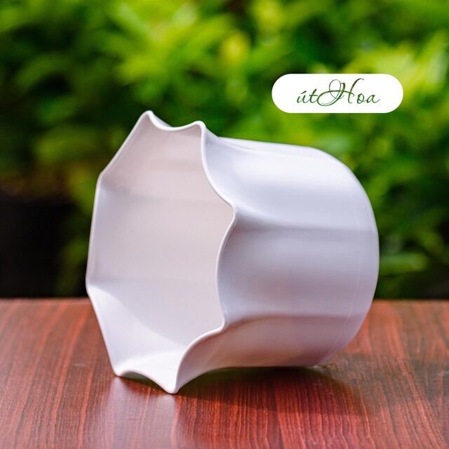 Chậu Để Bàn Màu Trắng Miệng Bèo