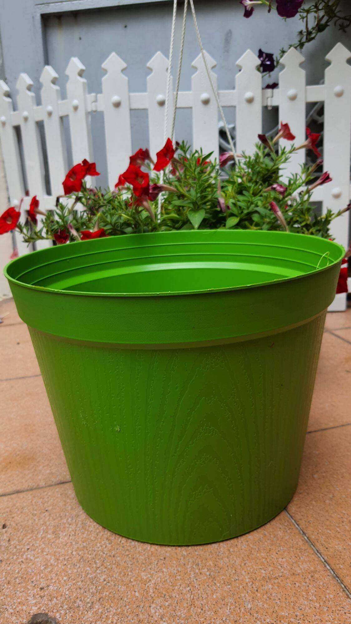 Chậu nhựa vân gỗ đường kính 25cm nhiều màu trồng hoa siêu đẹp