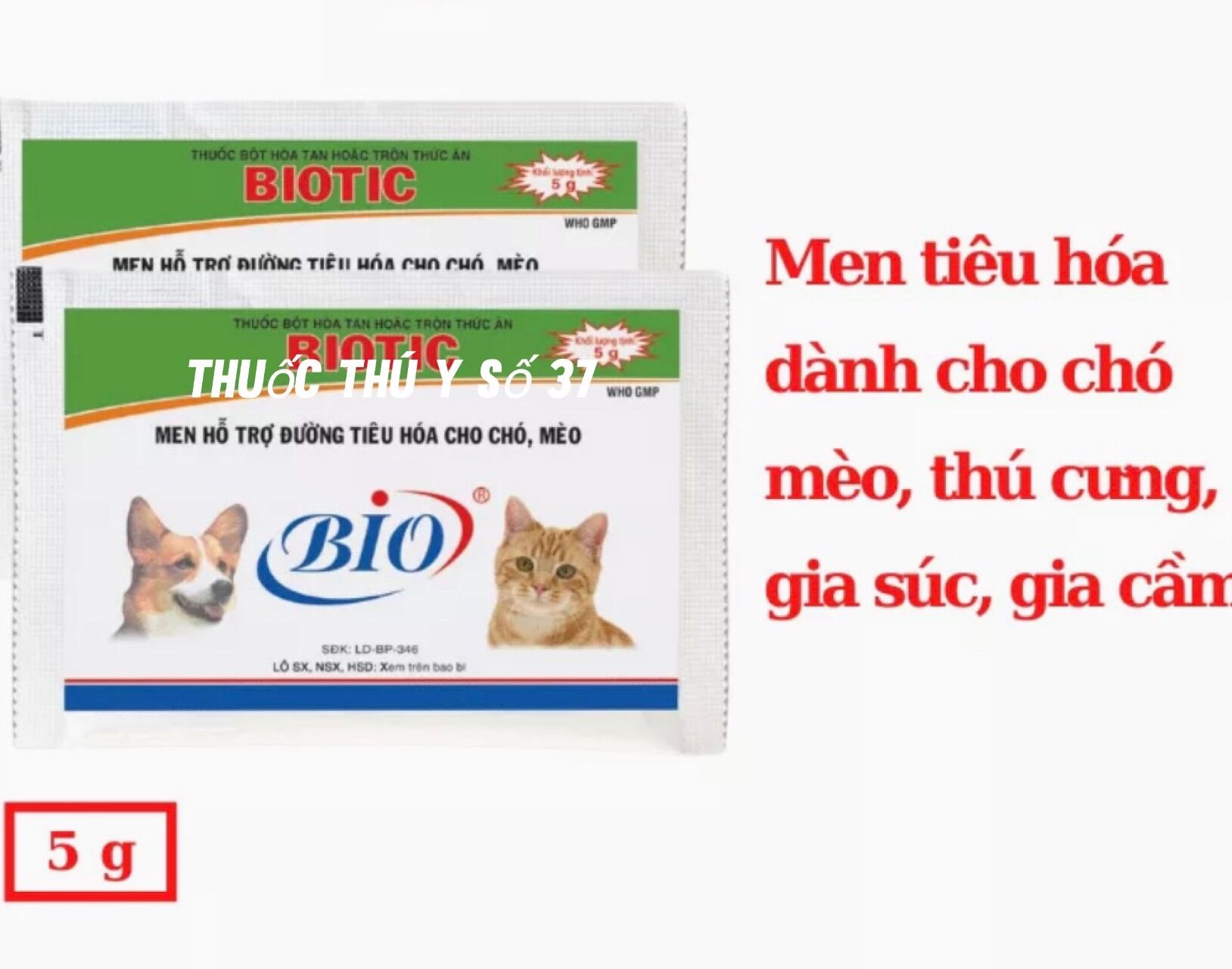 10 gói men tiêu hoá chó mèo 5g.