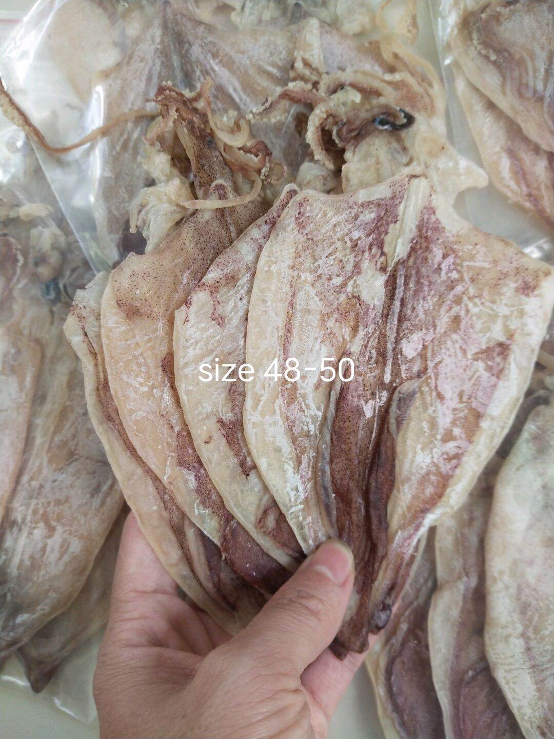 Mực khô câu size 50-55con ghpy h011