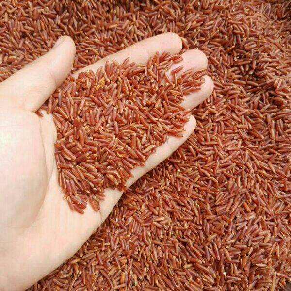 Combo 3kg gạo lứt huyết rồng