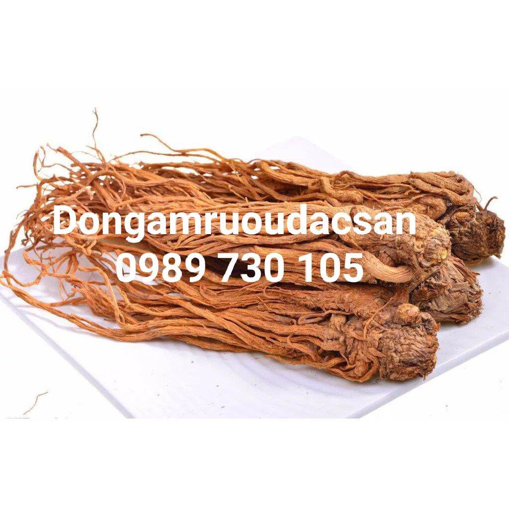 Sâm Đương Quy Củ Khô Sạch 500G