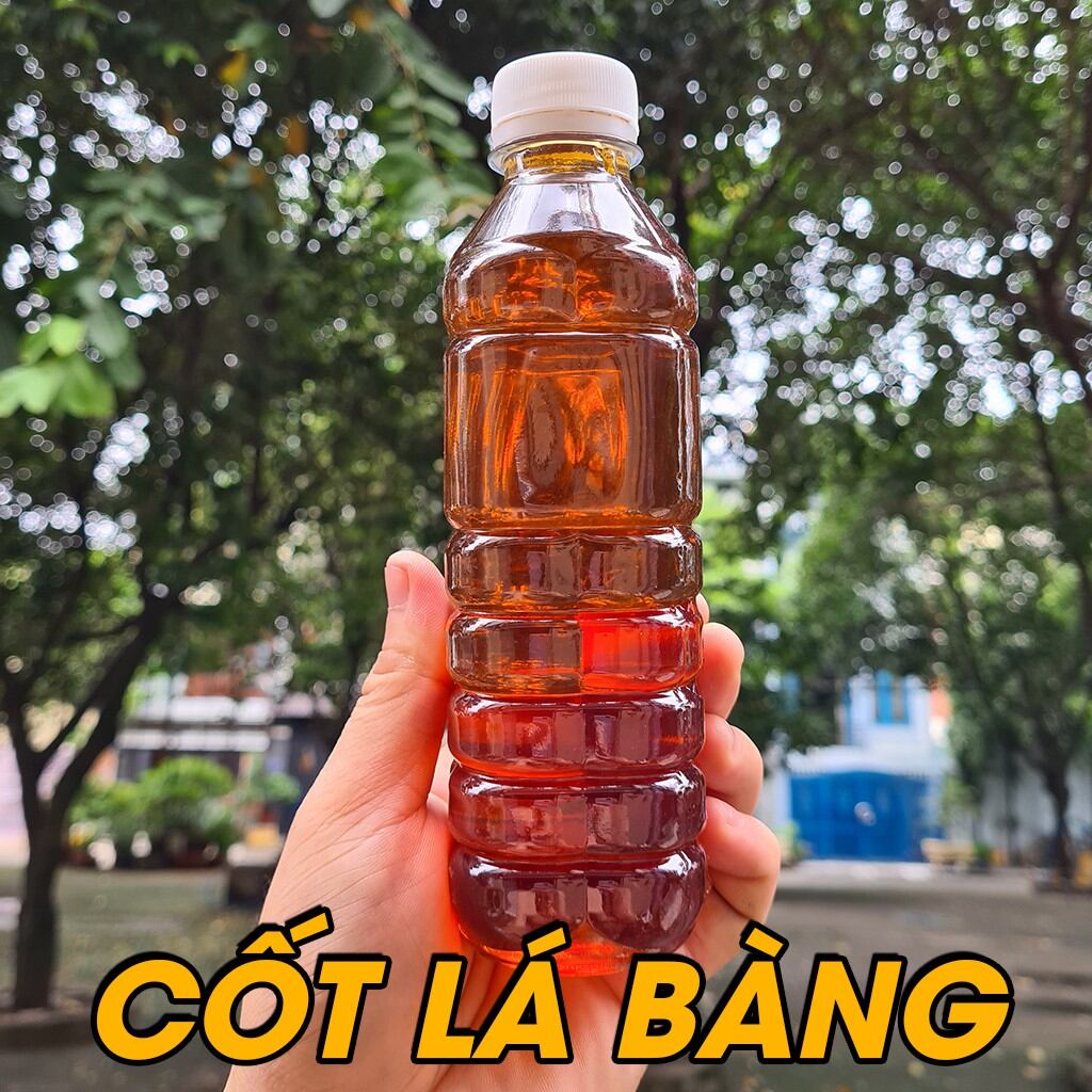 Nước cốt lá bàng sử dụng cực tốt cho hồ cá tép cảnh