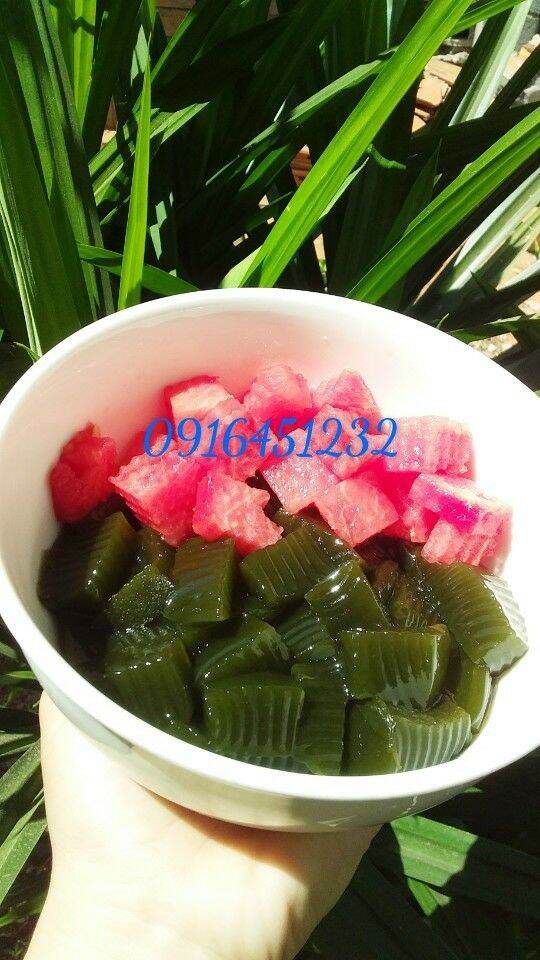 1 kg (10 gói) lá sương sâm lông khô tặng bột nang mực