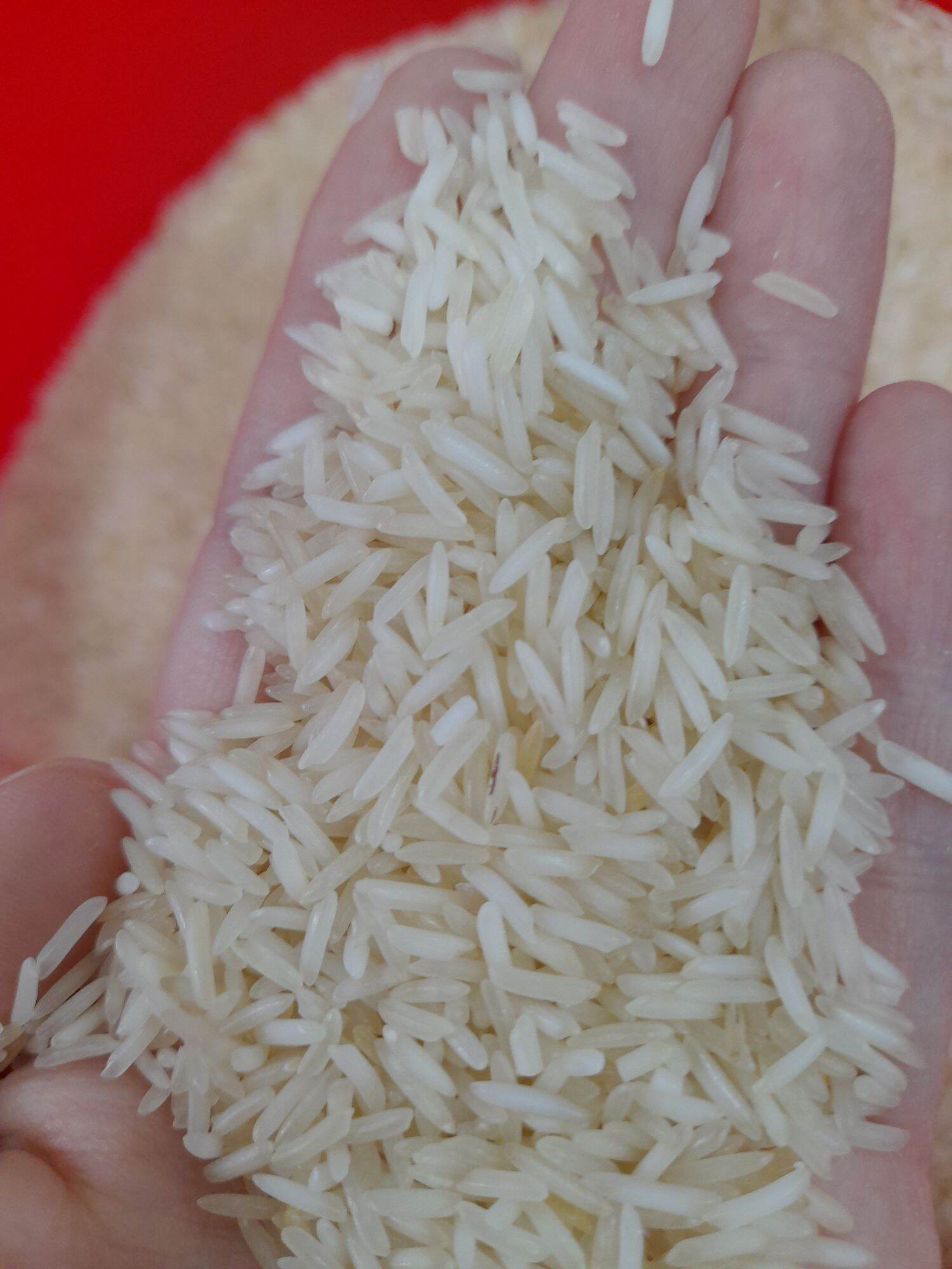 Gạo Basmati - Gạo nhập khẩu từ Ấn Độ 1kg