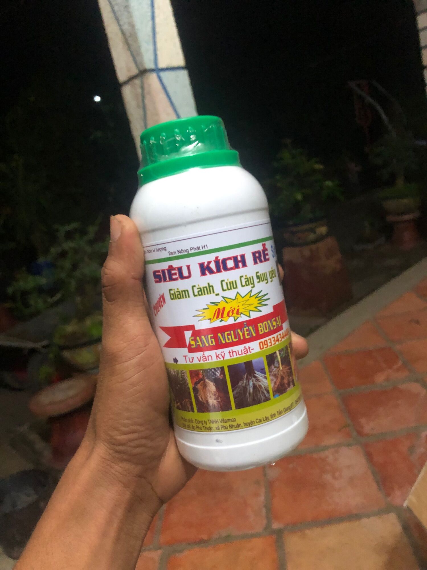 Siêu kích rễ