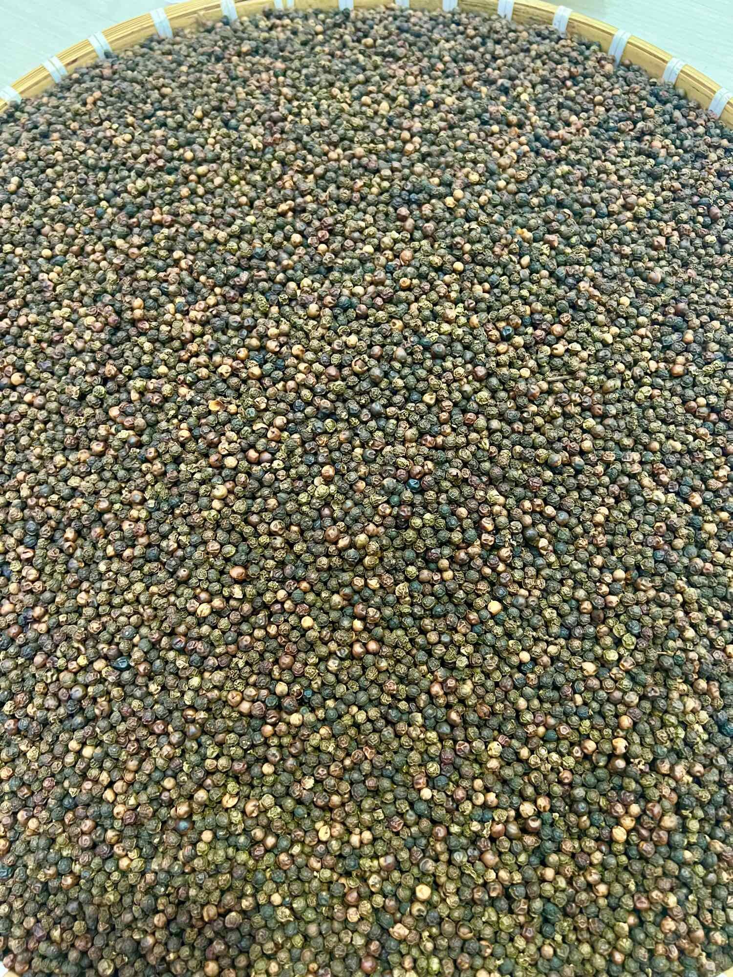 TIÊU ĐEN Nhà làm,Tiêu sạch 200g, Tiêu Đak Lak.