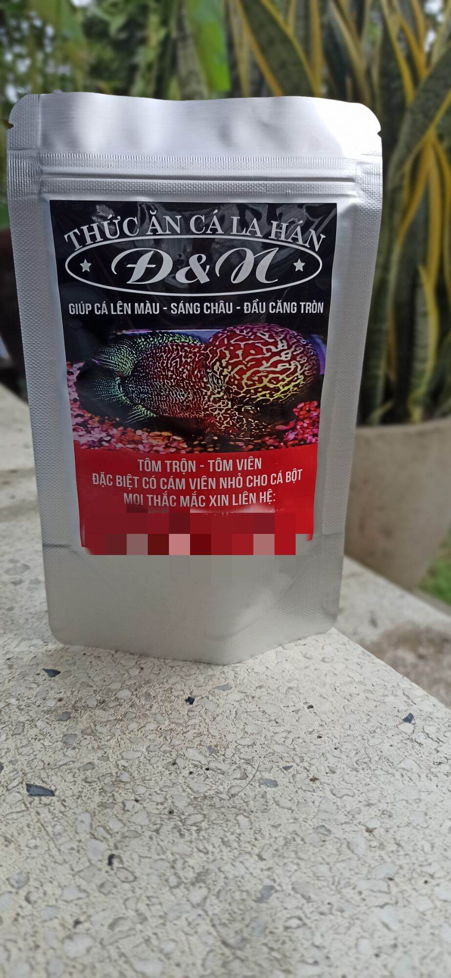 Cám la hán d&n viên lớn
