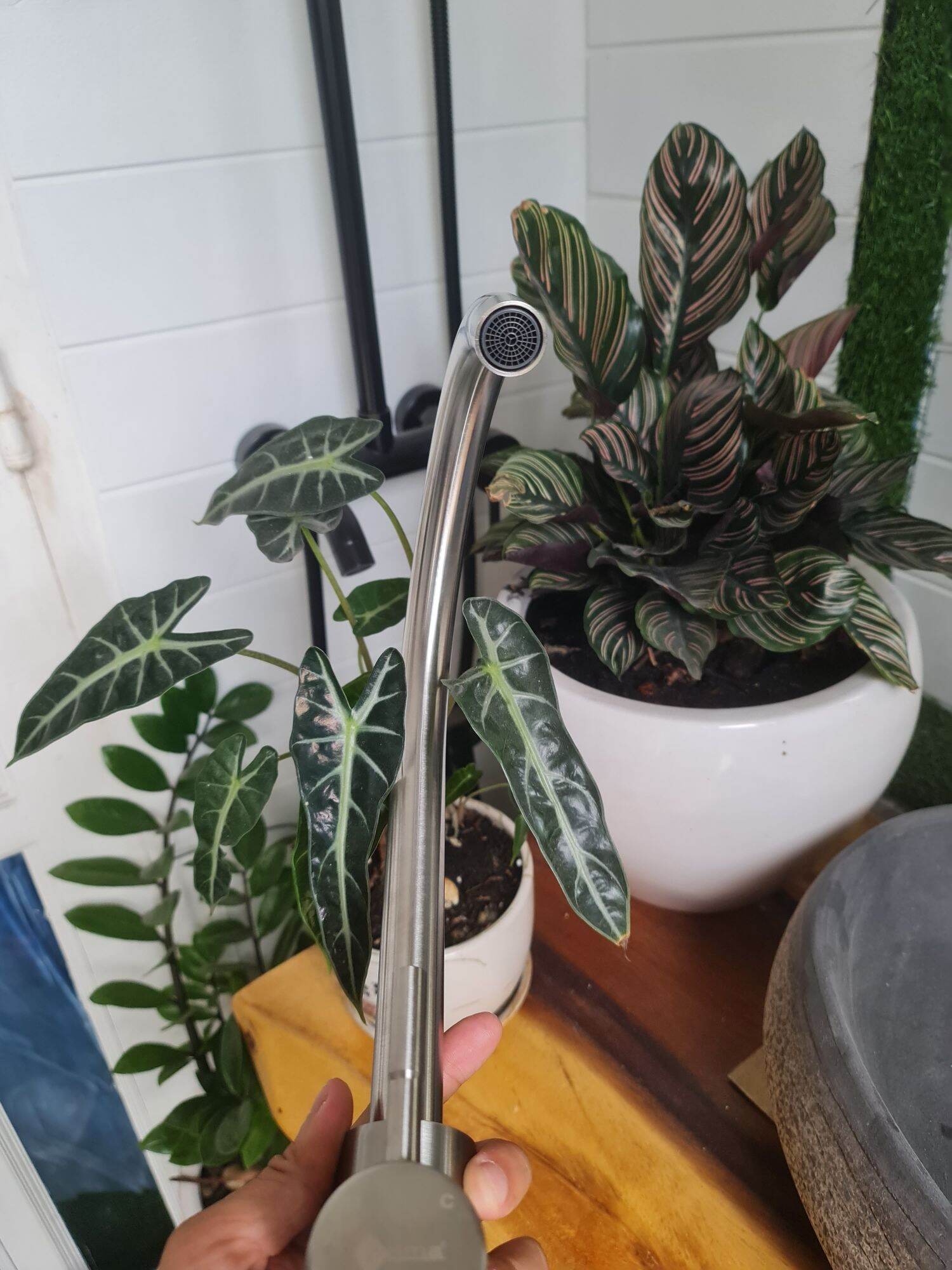 vòi rửa chén nóng lạnh inox 304