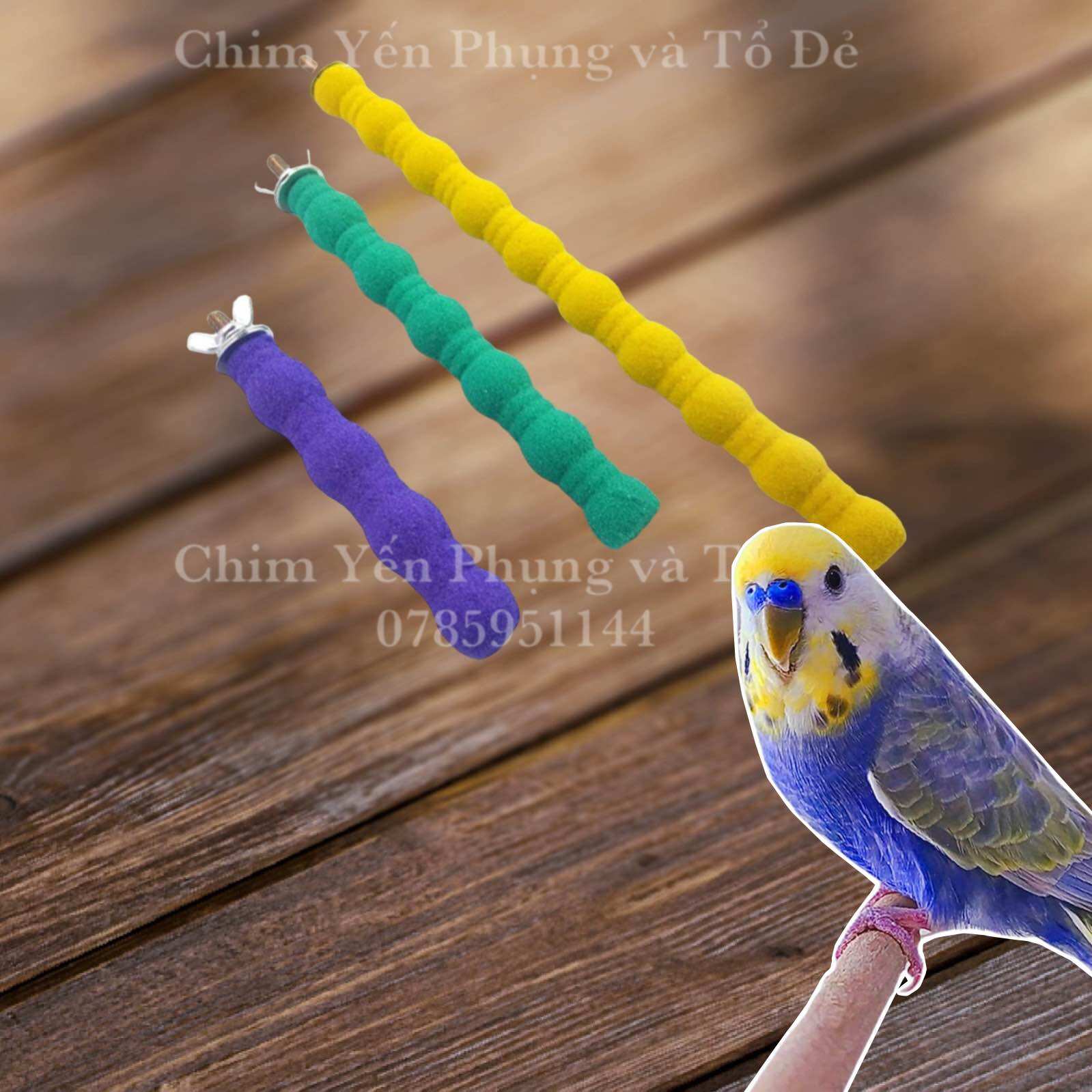 Cầu đứng mài móng San Hô nhiều màu sắc, nhiều kích cỡ cho Vẹt.