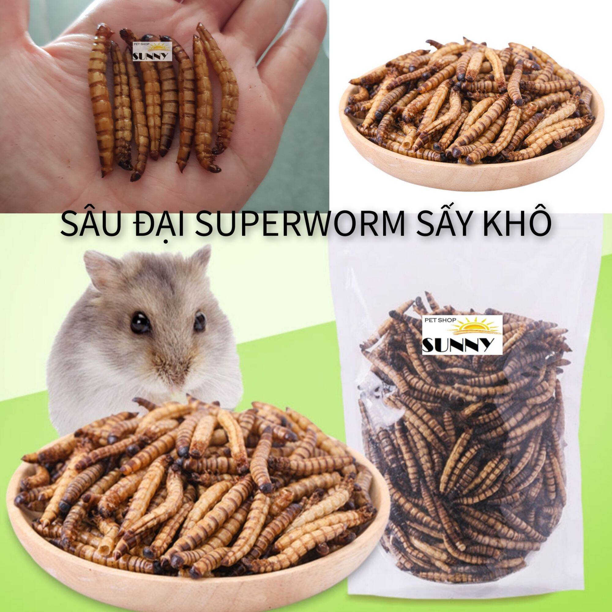 Sâu size đại superworm sấy gói 25g