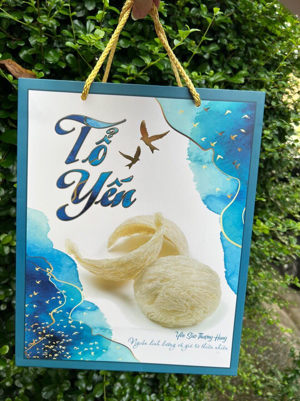 Túi đứng đựng yến sào 100 gr