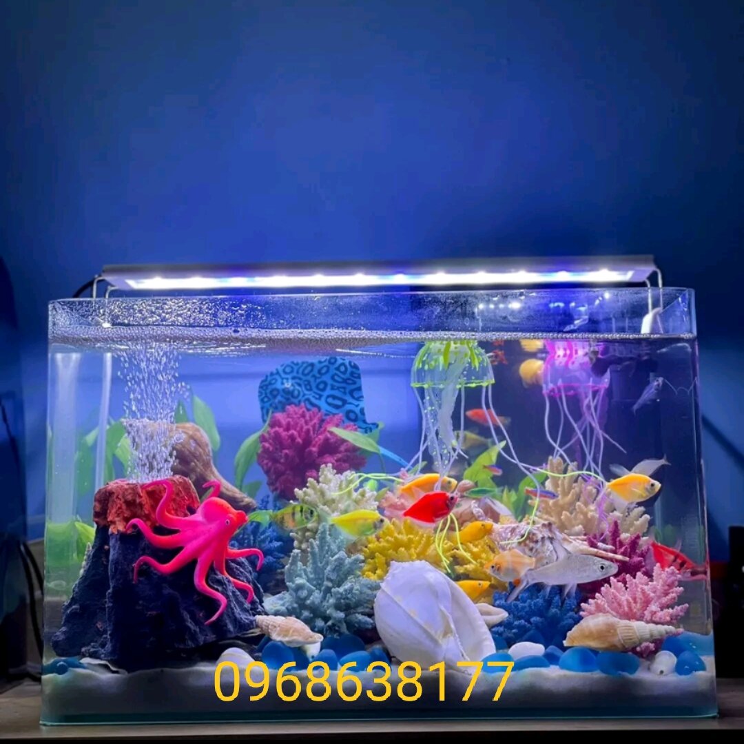 SỦI OXY NÚI LỬA PHUN TRÀO - PHỤ KIỆN HỒ CÁ - SỦI TRANG TRÍ