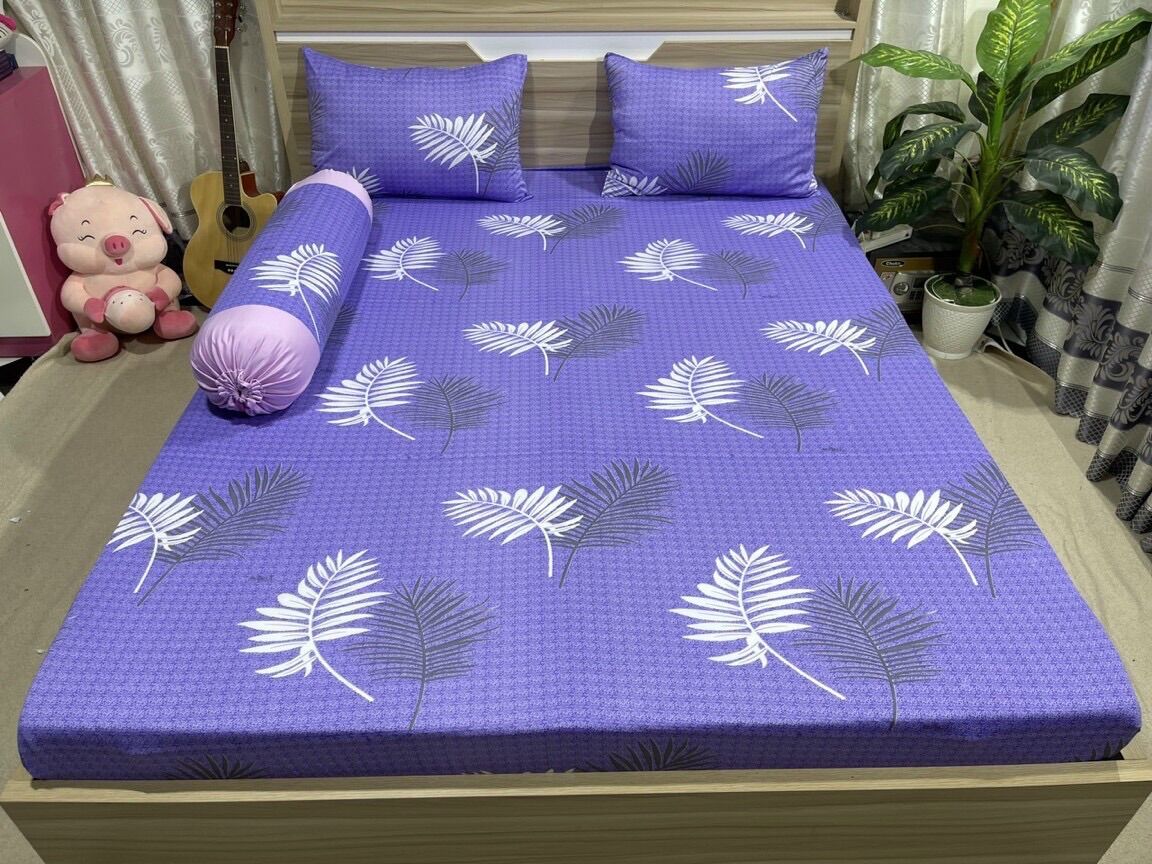 Bộ 4 món drap/ga áo gối THUN LẠNH HÀN QUỐC