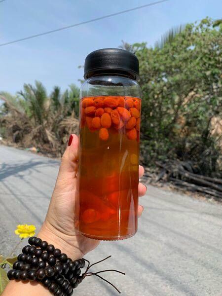 KỈ TỬ ĐỎ NINH HẠ 100gram