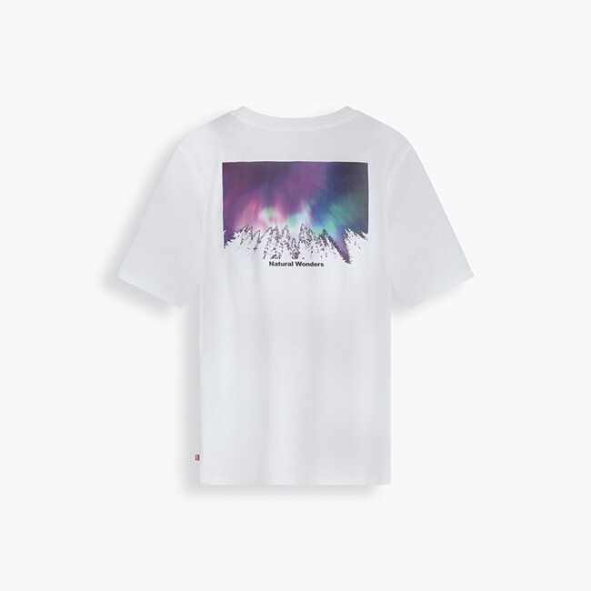 Levi's - áo thun nam 22491-1125