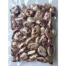 ĐẬU NGỰ TÚI 1KG - NÔNG THÀNH