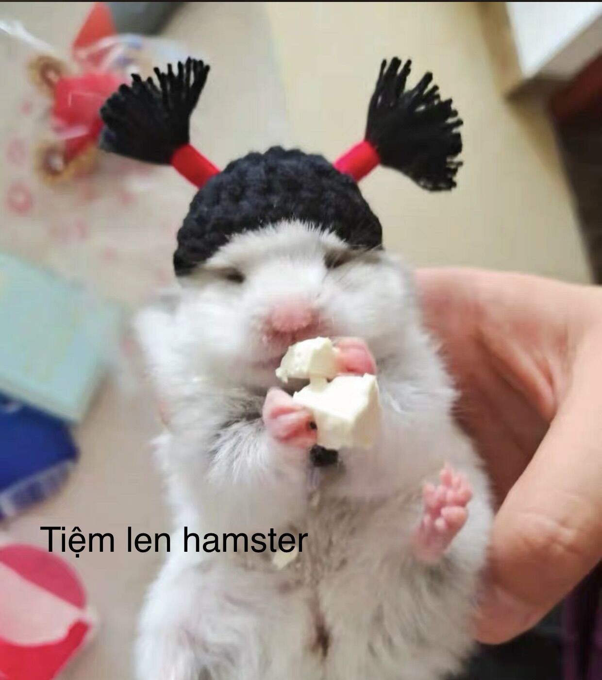 Nón mũ hamster tóc giả 1